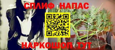 индика Донецк