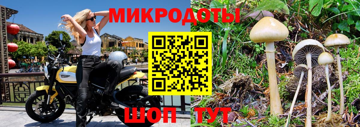 Алапаевск  Псилоцибиновые грибы Psilocybe  Вход с VPN 